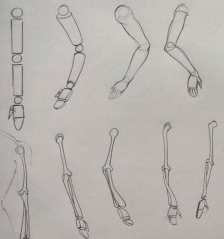 کشیدن شانه‌ها در طراحی بدن انسان 