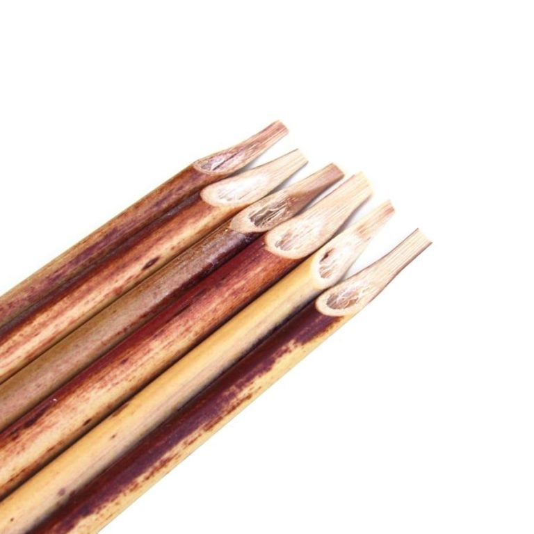 راهنمای نگهداری و مراقبت از قلم نی خوشنویسی